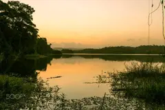 Photo00045