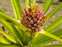 Photo00061
