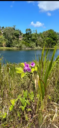 Photo00067