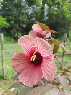 Photo00080