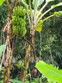 Photo00085