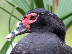 Photo00116