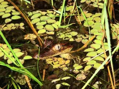 Photo00120